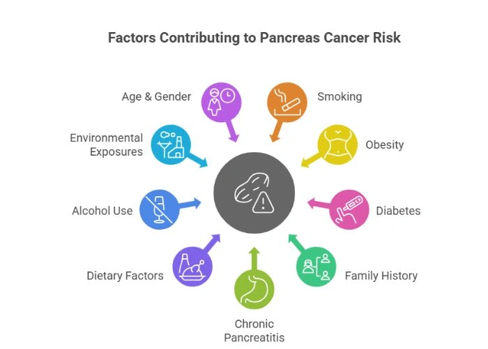 Causes of Pancreas Cancer
